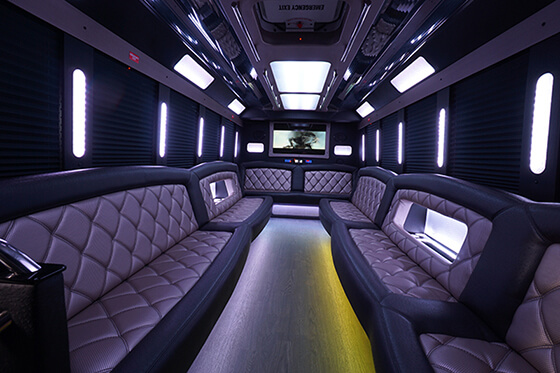 28 passenger limo bus rental in Cape Girardeau