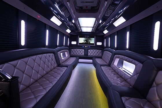 30 passenger party bus